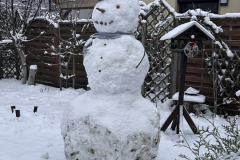 Schneemann im Garten